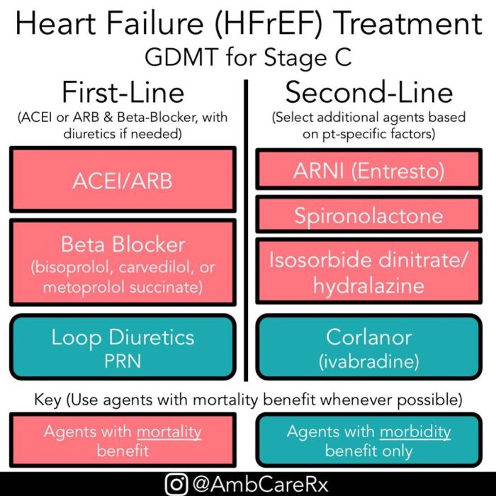 Hfref medical abbreviation